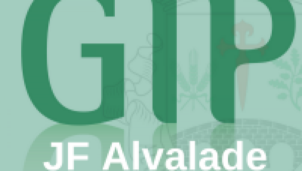 Gabinete Inserção Profissional