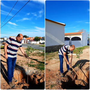 Dia da Árvore