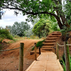 Pinguela dos Coitos