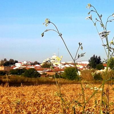 Património paisagístico